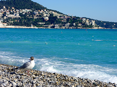 Débarras Brocante Carros